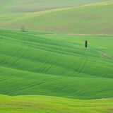 Tuscany April 2022