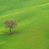 Tuscany April 2022