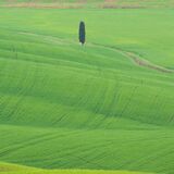 Tuscany April 2022