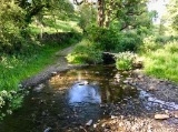 Crook Ford