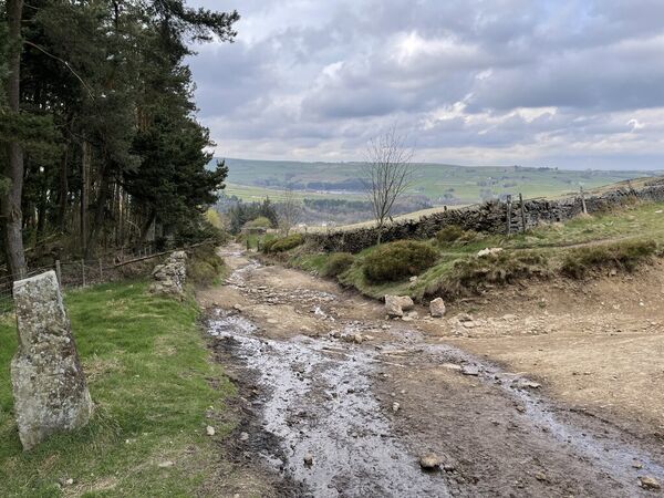 Ramsden Road Ford