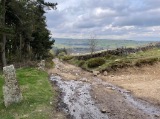 Ramsden Road Ford