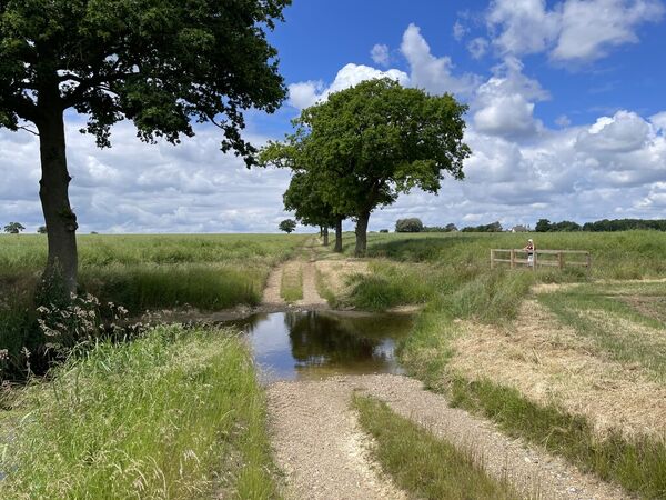 Madge's Lane Ford