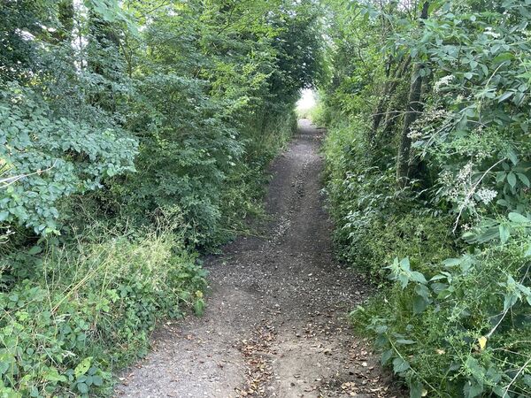 Dark Lane Ford