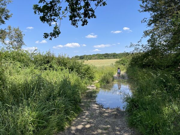 River Roding Ford
