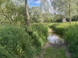 Stour Valley Path Ford