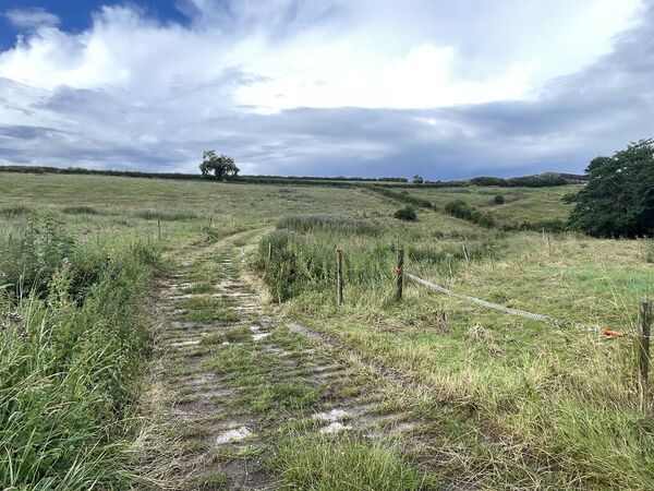 Scarhill Beck Ford