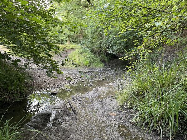Ringspit Lane Ford