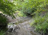 Ringspit Lane Ford