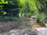 Bathford Brook Ford