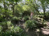 Caundle Marsh Ford