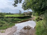 Kaber Ford