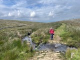 Long Gill Ford
