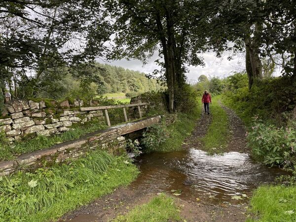 Banty Beck Ford