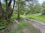 Richard's Castle Ford