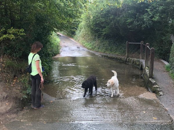 Clatterford Ford 2