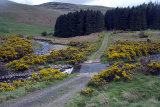 Southernknowe Ford