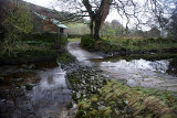 Litton Ford