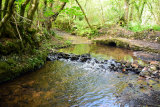 Stapley Ford