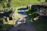 Summer Lodge Beck Ford