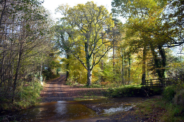 Twizell Ford 1