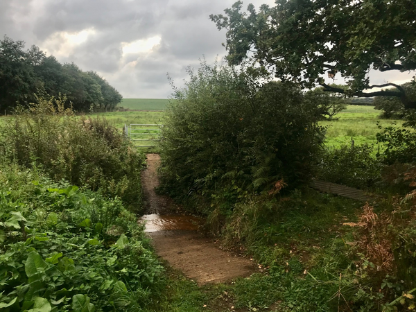 East Appleford Ford