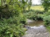 Spooyt Vane River Ford