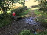 Lutton Ford