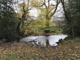 Waskerley Beck Ford 2