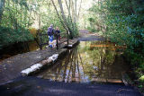 Frensham Common Ford 3