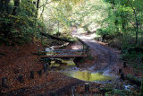 Hindhead Ford