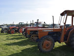 Cook's Ploughing Match 2017