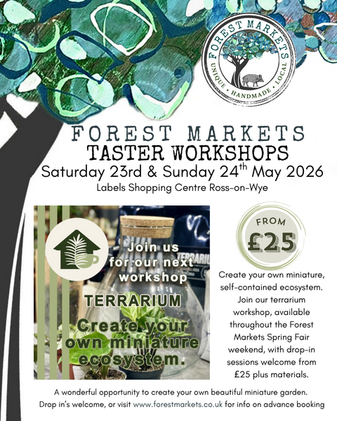 Terrarium Mini Eco System