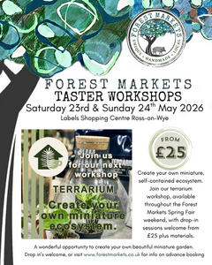 Terrarium Mini Eco System