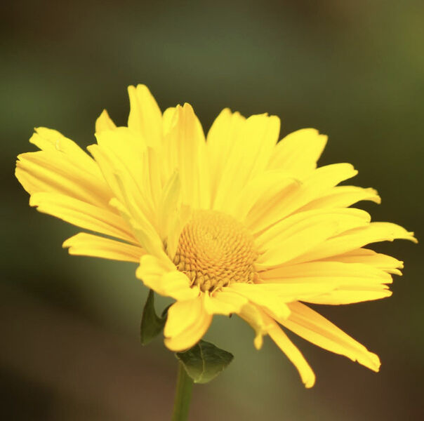 Gina Nell - Photography