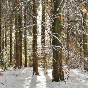 Gina Nell Creates - Photography