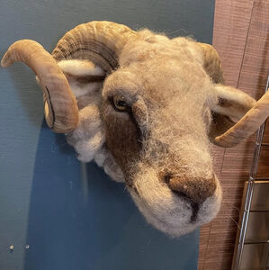 Fiona Cran - Felt Art and Jewellery