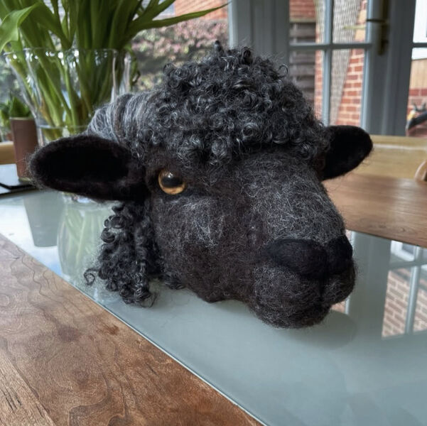 Fiona Cran - Felt Art and Jewellery