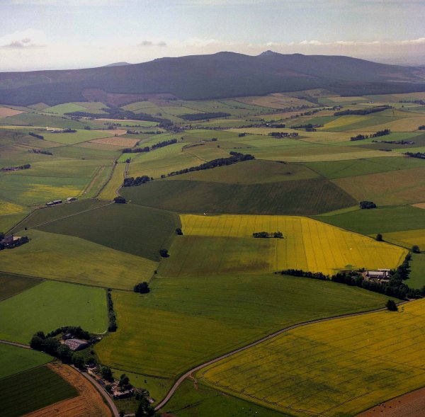 Bennachie from air