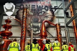 Brewdog, Ellon