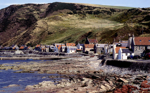 Crovie