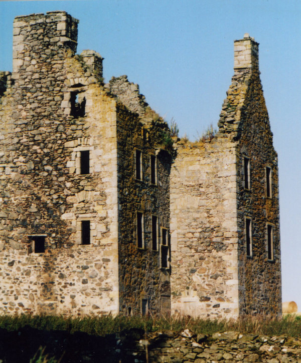 Knockhall Castle, near Newburgh