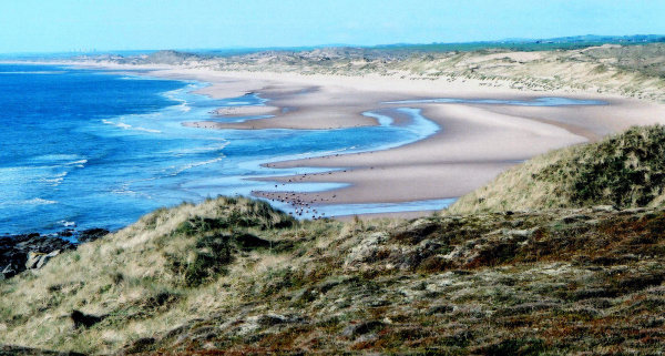 Sands of Forvie