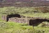 Forvie Kirk
