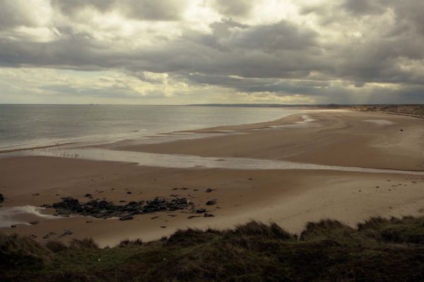 Forvie Sands from Rockend