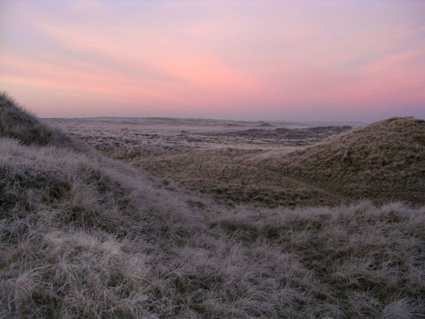 Frosty morning - Forvie Moor