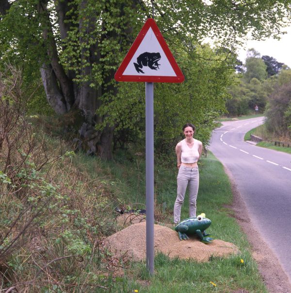 Toads crossing