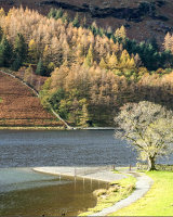 2nd Place Buttermere Nov 2019 by Peter Lucas