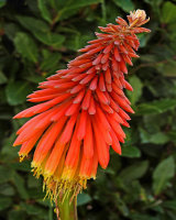 3rd Place September in the Garden 1 by Chris Walters