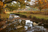 Autumn in Bradgate by John Bollands 2nd equal